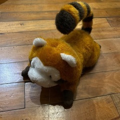 ごろりんラスカル あらいぐまの画像