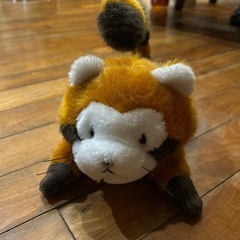 ごろりんラスカル あらいぐま