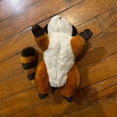 ごろりんラスカル あらいぐまの画像