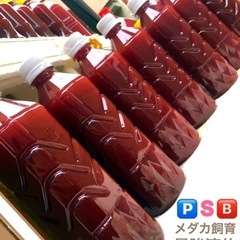 🅿️Ｓ🅱️メダカ飼育.最強液体500ml⒊本=1,500ml 