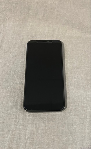 iPhone12 Pro グラファイト