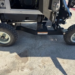 シンダイワ　ライトの画像