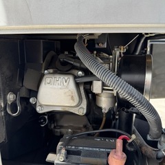 シンダイワ　ライトの画像