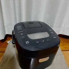 IRIS OHYAMA 炊飯器 5.5号　一人暮らし用