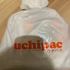 おかずの画像