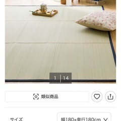 NITORI い草ラグ