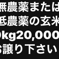 無農薬が低農薬の玄米
