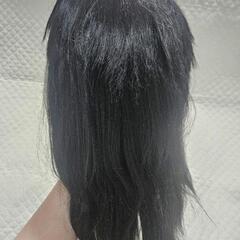 ウィッグ コスプレ 耐熱ウィッグ 変装用 カツラ かつら ウィッグネット付の画像