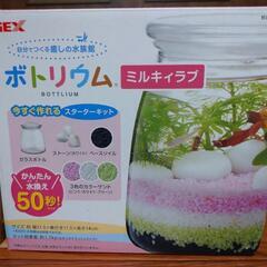 gex ミルキィラブ スタートキット ✖️２個セット