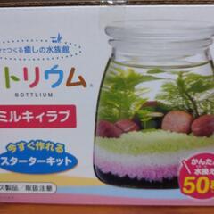 gex ベタ飼育 スタートキット ✖️２個セットの画像