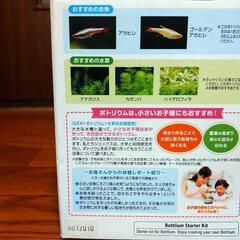 gex ベタ飼育 スタートキット ✖️２個セットの画像