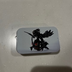 ポケモン工芸展　ケース