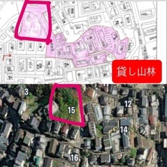 貸し山林になります