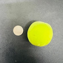 今日（5日）収穫できます。無農薬青梅1.5キロ