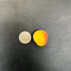 今年の小さい南高梅はもう終わっちゃって、今あるのは大きめの青梅だ...