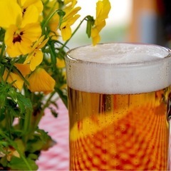 6/29ハッピーアワー交流会【広島】🍻40代・50代限定🙍…