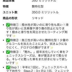 BUDDICA フェニックス COATING バディカ　コーティング　ながら洗車　新品　未使用の画像