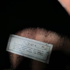 ⑤ KAWAI カワイ アコースティックギターの画像