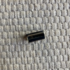 Bluetooth レシーバー v4.0の画像