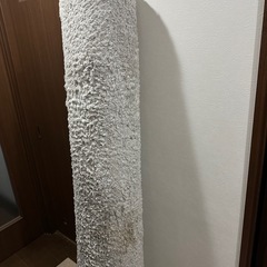 カーペット（汚れあり）