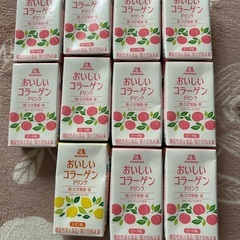 森永　おいしいコラーゲン11本の画像