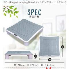 【美品】ジャンピングボード 【グレー】

の画像