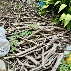 木材　暖炉用などに
