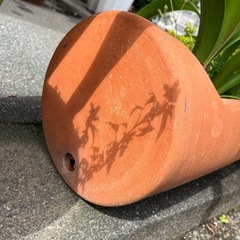 素焼き　植木鉢　の画像