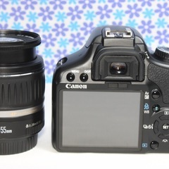 極美品★Canon kiss X2★高画質★簡単操作★初心者おすすめ★の画像