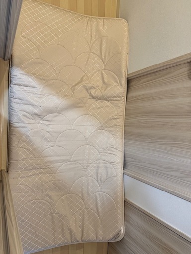 ドクターセラ　スリーエス　sss即日お渡しで35000円