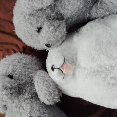 ぬいぐるみの画像