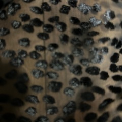 シフォン布の画像