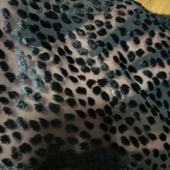 シフォン布の画像