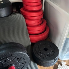 トレーニング、ダンベル、ベンチの画像