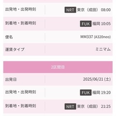 peach 成田↔︎福岡　往復航空券2人分