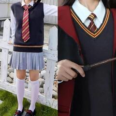 ハリーポッター風 ニットベスト L スクールベスト 男女兼用 Vネックの画像