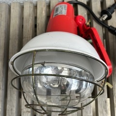 早い者勝ち。投光器。の画像