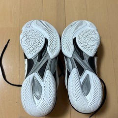 ミズノ　シューズ　バドミントンの画像