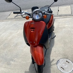 ホンダ　トゥデイ　AF67の画像