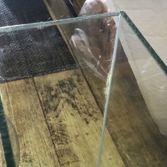 ガラス水槽2個セットでの画像