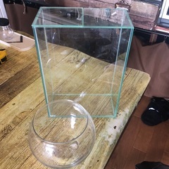 ガラス水槽2個セットでの画像
