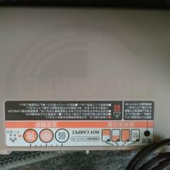 2帖電気カーペットの画像