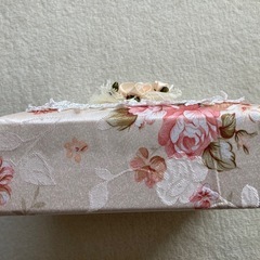 ジュエリーケースの画像