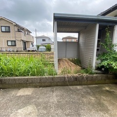 草むしりお願いします。