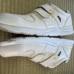新品・未使用品　安全靴　28.0cmの画像