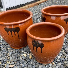 メダカ飼育など3点セット
