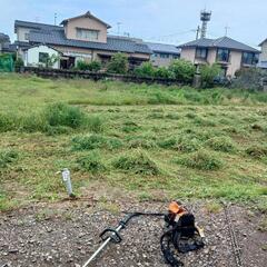 草刈り。(雑作業)