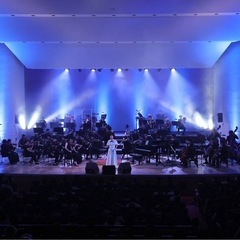 🎻【バイオリニスト募集】THE STRINGS始動！