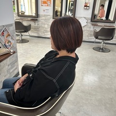 本日１８時頃カットモデル募集します