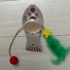 猫じゃらし